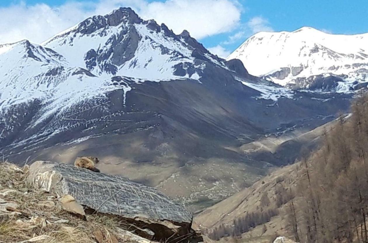 Ubaye Liberty Apartment Barcelonnette Bagian luar foto